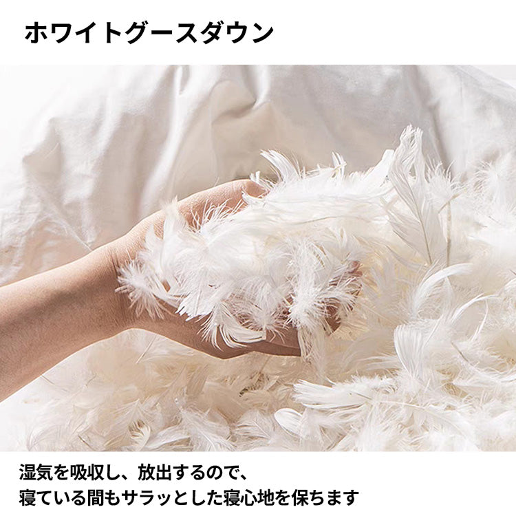 ベッド　寝具　収納ベッド　ミニマルデザイン　ホワイトグースダウン　すのこ　ナッパトップレザー　カスタマイズ可能　BED-S056