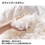 ベッド　寝具　収納ベッド　ミニマルデザイン　ホワイトグースダウン　すのこ　ナッパトップレザー　カスタマイズ可能　BED-S056